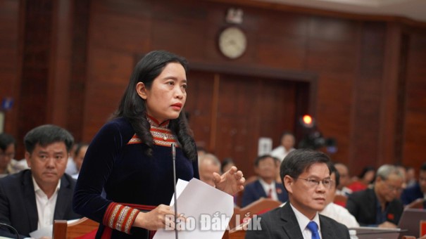 4. Kỳ họp thứ Hai, HĐND tỉnh khóa XI